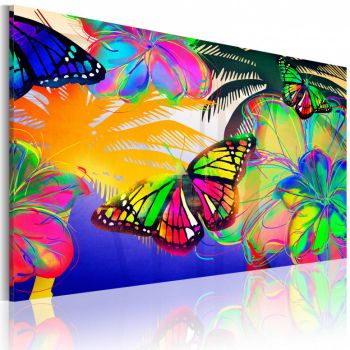 Tablou - Exotic butterflies 60x40 cm