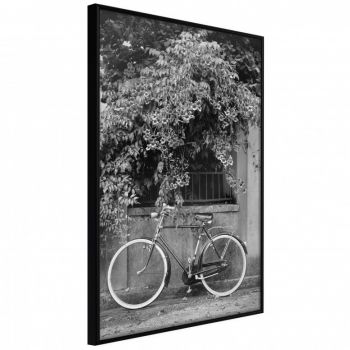 Poster - Bicycle with White Tires, cu Ramă neagră, 30x45 cm ieftin