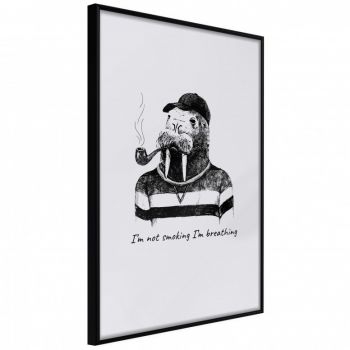 Poster - Captain Walrus, cu Ramă neagră, 20x30 cm