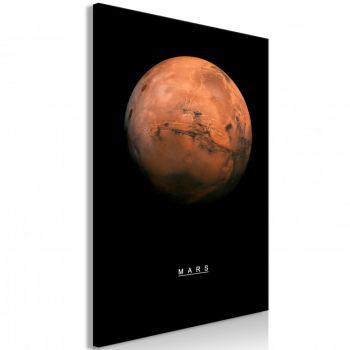 Tablou - Mars (1 Part) Vertical 40x60 cm