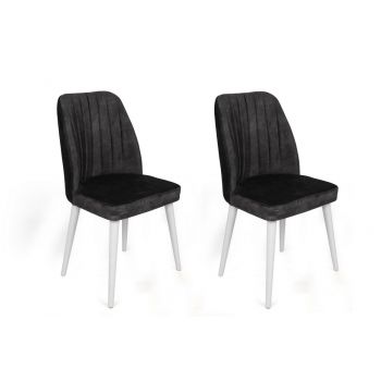 Set de 2 scaune Alfa-497, Antracit- Alb