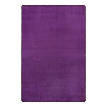 Covor violet 200x280 cm Fancy – Hanse Home ieftin