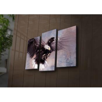 Tablou Canvas cu Led Vultur, Multicolor, 66x 45 cm ieftin