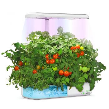 Ghiveci hidroponic cu lampa UV de crestere a plantelor la interior, 12 orificii plante, inaltime reglabila, 36W