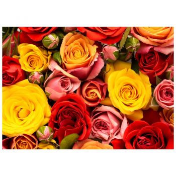 Tapet autoadeziv Premium, textura canvas, Crizantema roz, 130 x 98 cm ieftin