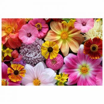 Tapet autoadeziv Premium, textura canvas, cu Flori multicolore, 130 x 87 cm