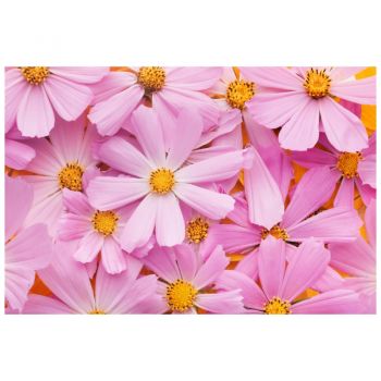 Tapet autoadeziv Premium, textura canvas, Flori roz inflorite, 130 x 87 cm ieftin