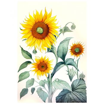 Tapet autoadeziv Premium, textura canvas, Pictura floarea soarelui, 130 x 89 cm