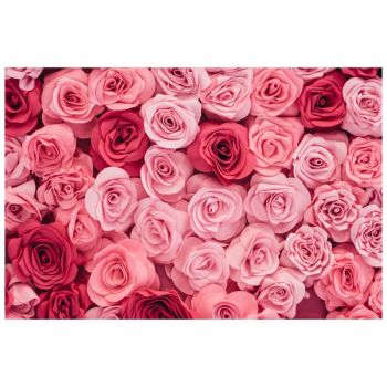 Tapet autoadeziv Premium, textura canvas, Trandafiri rozalii, 130 x 87 cm