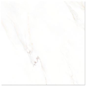 Gresie portelanata rectificata Calacatta White 58 x 58 lucioasa