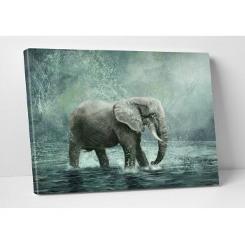 Tablou decorativ Elephant, Modacanvas, 50x70 cm, canvas, multicolor