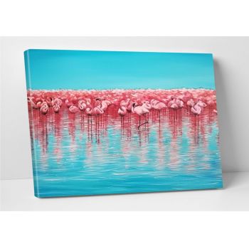 Tablou decorativ Flamingo, Modacanvas, 50x70 cm, canvas, multicolor la reducere